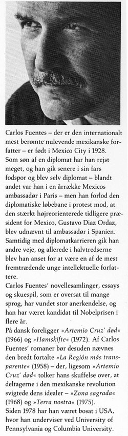 Flap2.jpg (ca. 40 Kb)